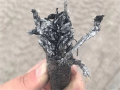 輪胎煉油設備常用配件之一石墨盤根質量如何區(qū)分